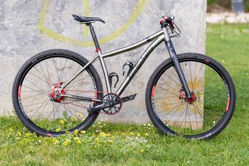 Van Nicholas, Zion 29 Er Rohloff Speedhub 14-spd belt red 2022