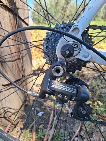 Used Bianchi Nirone Campagnolo Veloce 2011 Road & Gravel, Blanco — image 3 of 20