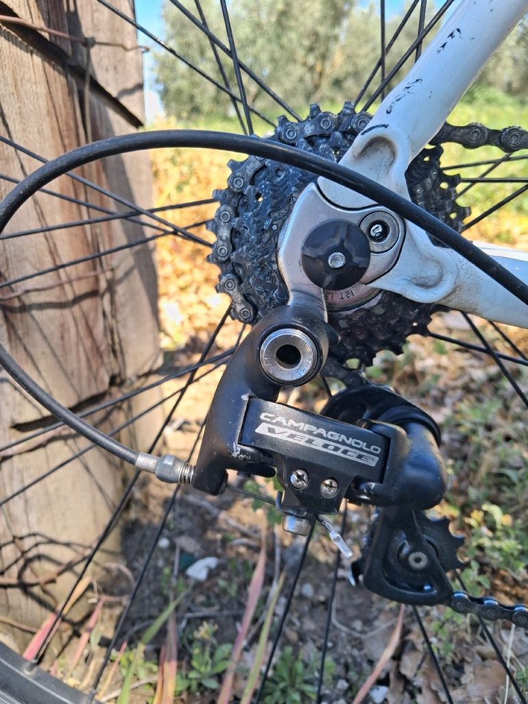 Used Bianchi Nirone Campagnolo Veloce 2011 Road & Gravel, Blanco — image 3 of 20