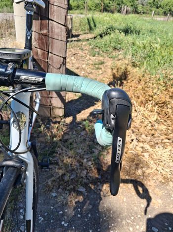 Used Bianchi Nirone Campagnolo Veloce 2011 Road & Gravel, Blanco — image 13 of 20