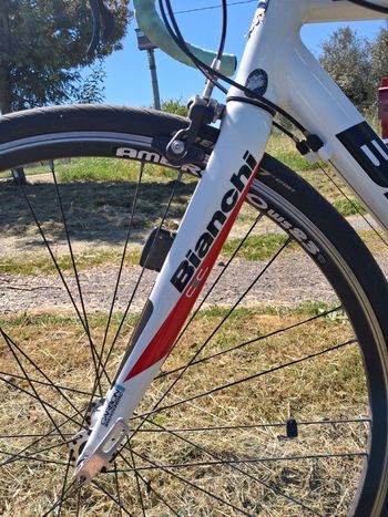 Used Bianchi Nirone Campagnolo Veloce 2011 Road & Gravel, Blanco — image 15 of 20