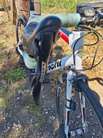 Used Bianchi Nirone Campagnolo Veloce 2011 Road & Gravel, Blanco — image 14 of 20