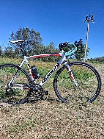 Used Bianchi Nirone Campagnolo Veloce 2011 Road & Gravel, Blanco — image 20 of 20