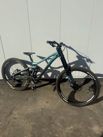 Scott, Gambler 910 2024