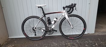 Moser, 333