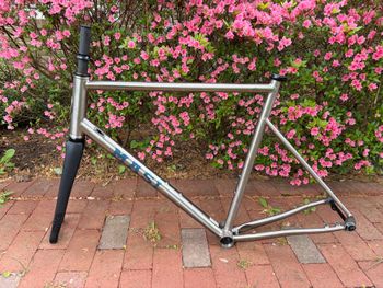 Masi, Titanio Frameset 2023 Frameset