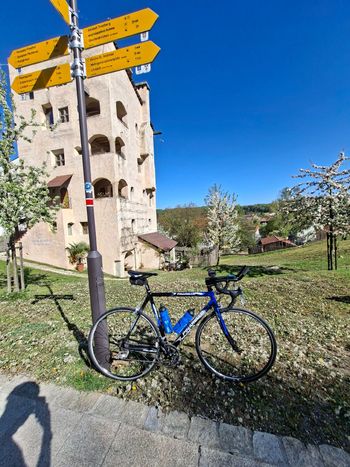 Used Pinarello Angliru Campagnolo Veloce 2011 Road & Gravel, Blue — image 2 of 10
