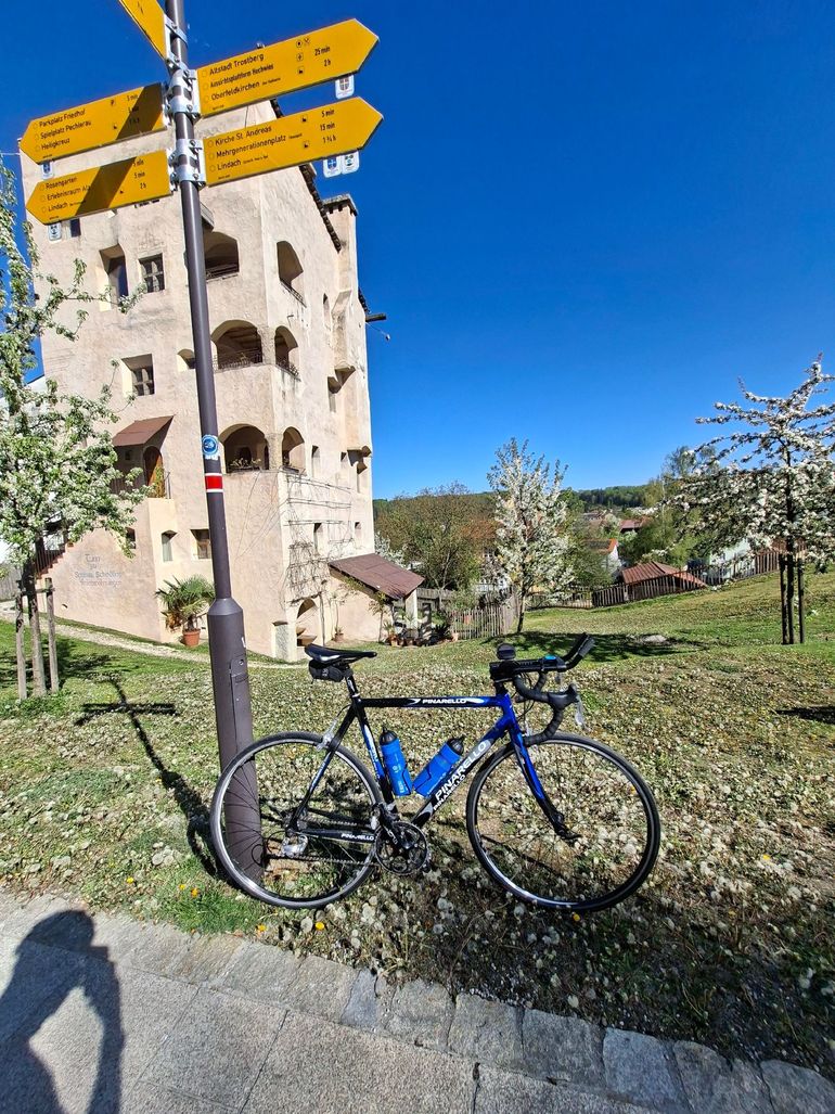 Used Pinarello Angliru Campagnolo Veloce 2011 Road & Gravel, Blue — image 2 of 10