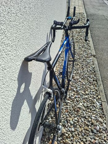 Used Pinarello Angliru Campagnolo Veloce 2011 Road & Gravel, Blue — image 5 of 10