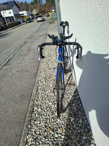 Used Pinarello Angliru Campagnolo Veloce 2011 Road & Gravel, Blue — image 9 of 10