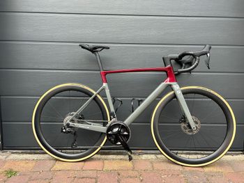 Focus, IZALCO MAX 8.9 2024