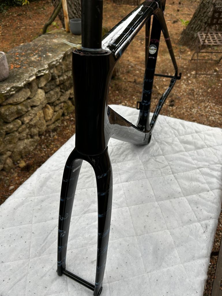 Used Lapierre Xelius SL 10.0 Symbiosis Edition 2024 Frameset 2024 Road & Gravel, Negro — image 3 of 11