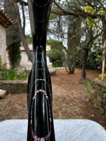 Used Lapierre Xelius SL 10.0 Symbiosis Edition 2024 Frameset 2024 Road & Gravel, Negro — image 11 of 11