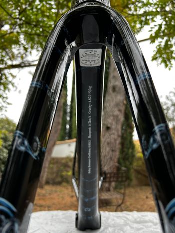 Used Lapierre Xelius SL 10.0 Symbiosis Edition 2024 Frameset 2024 Road & Gravel, Negro — image 9 of 11