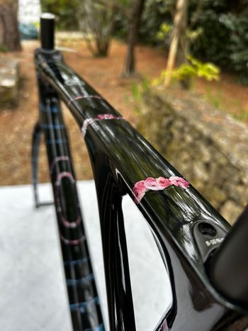 Used Lapierre Xelius SL 10.0 Symbiosis Edition 2024 Frameset 2024 Road & Gravel, Negro — image 10 of 11