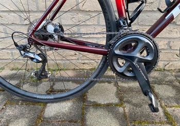 Trek, Émonda ALR 6 2021
