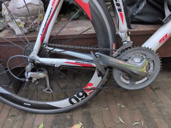 Used Sensa Lombardia Shimano Tiagra 2016 Road & Gravel, White — image 3 of 3