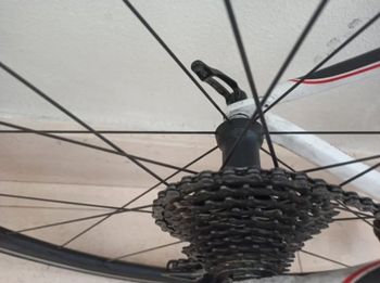 Used Grandis Grandis Custom Shimano Ultegra 2013 Road & Gravel, White — image 3 of 8