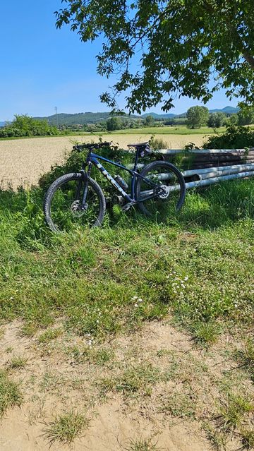 Used Trek Procaliber 9.6 2022 2022 Mountainbike, Blue, 29 — image 2 of 3