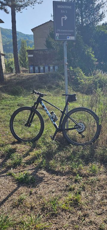 Used Trek Procaliber 9.6 2022 2022 Mountainbike, Blue, 29 — image 1 of 3
