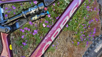 Used Orbea Orbea Rallon M20 2023 Mountainbike — image 9 of 15