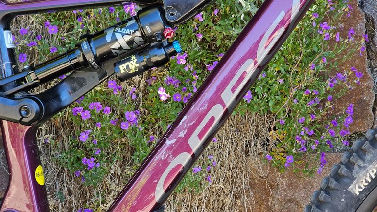 Used Orbea Orbea Rallon M20 2023 Mountainbike — image 9 of 15