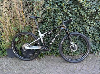 Canyon, Lux CF 7 2023