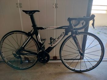 Used felino Chrono 2024 Route & Gravel