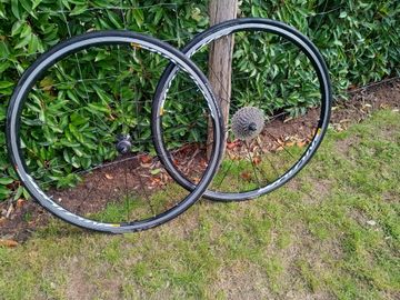 Gebrauchtes Cannondale Synapse Carbon 105 2017 2017 Road & Gravel, Grün — Bild 6 von 14