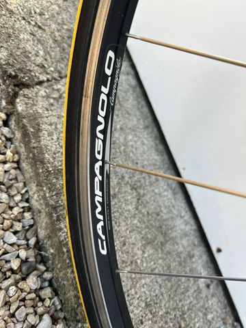 Used Colnago Custom Campagnolo Record 2003 Road & Gravel, Light Gray — image 17 of 17