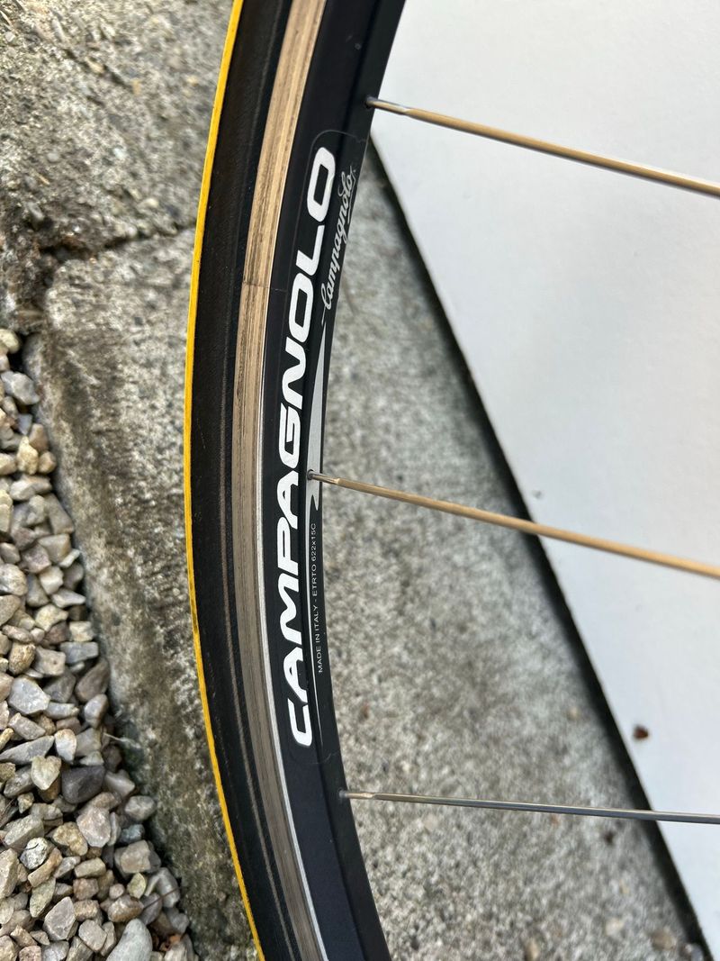 Used Colnago Custom Campagnolo Record 2003 Road & Gravel, Light Gray — image 17 of 17