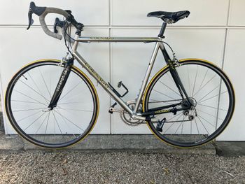 Used Colnago Colnago Custom Campagnolo Record 2003 Road & Gravel, Light Gray — image 2 of 17