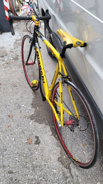 Used Bianchi Bianchi Custom Other Campagnolo 2009 Road & Gravel, Black — image 4 of 5