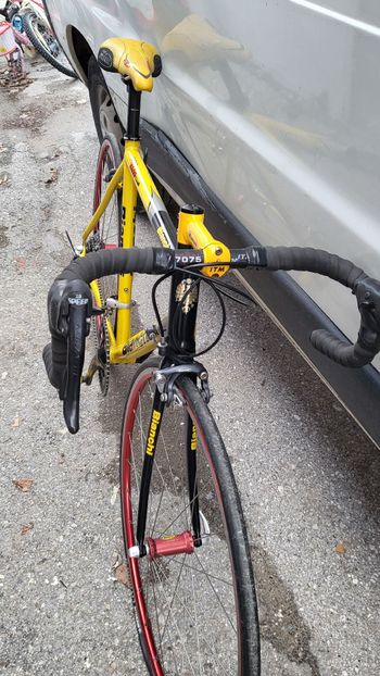 Used Bianchi Bianchi Custom Other Campagnolo 2009 Road & Gravel, Black — image 5 of 5