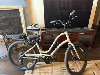 Electra, Townie Go! 7D 2020