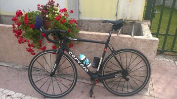 Cervélo, R5 CA California