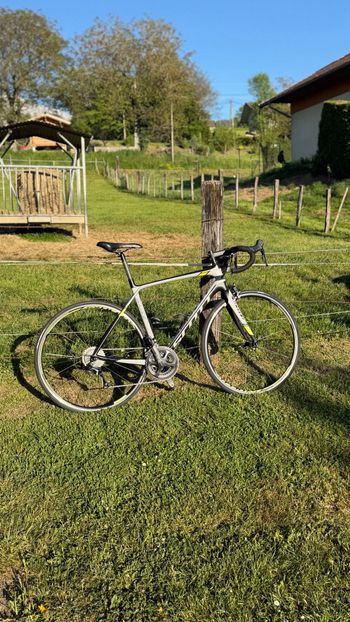 Scott, Solace Shimano Ultegra