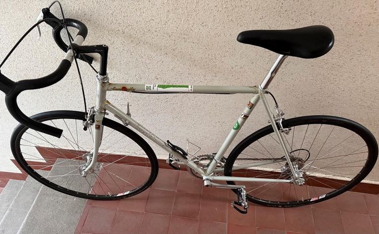 Used Visser Teun Visser Vainqueur 1975 1975 Road & Gravel, Hellgrau — image 1 of 15