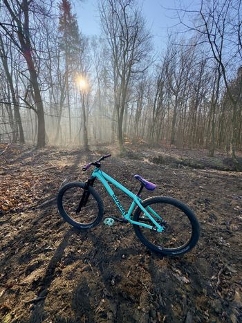 ns bikes, Ns bikes Custom Other