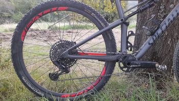 Used Specialized Men's Epic Expert 2019 2019 Mountainbike — image 4 of 13