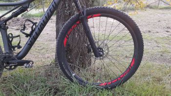 Used Specialized Men's Epic Expert 2019 2019 Mountainbike — image 5 of 13