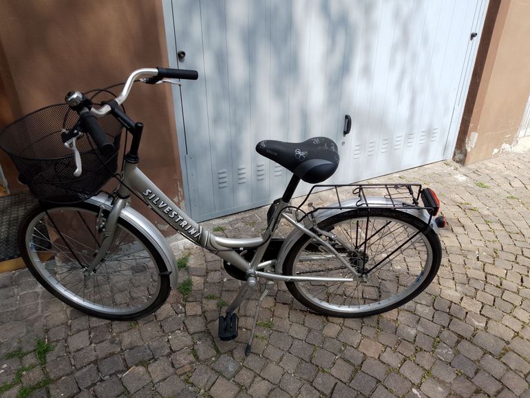 Used Silvestrini Senza Modello 2006 Urban — image 3 of 3
