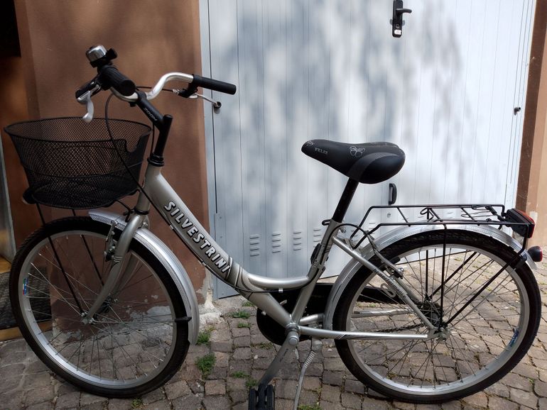 Used Silvestrini Senza Modello 2006 Urban — image 1 of 3