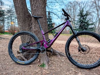 SCOR, 4060 ST GX 2022
