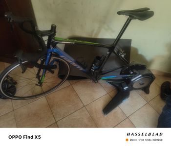 Used Giant Giant TCR Ultegra 2021 Road & Gravel, Blau — image 4 of 7