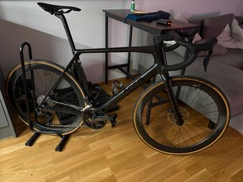 ARC8, Escapee DB 105 DI2 2024
