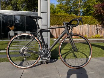 Canyon, Ultimate CF SL 8 2022