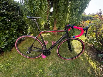 Used Canyon CF SL 9.0 2019 Road & Gravel — image 8 of 8