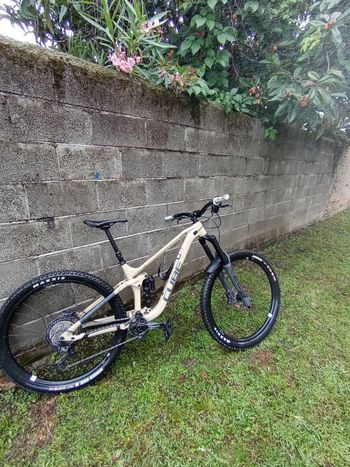 CUBE, STEREO ONE77, RACE 29 2022