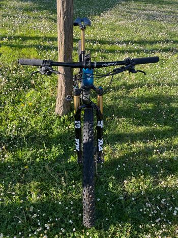 Used Berria Mako 2021 Mountainbike, Blue — image 3 of 6